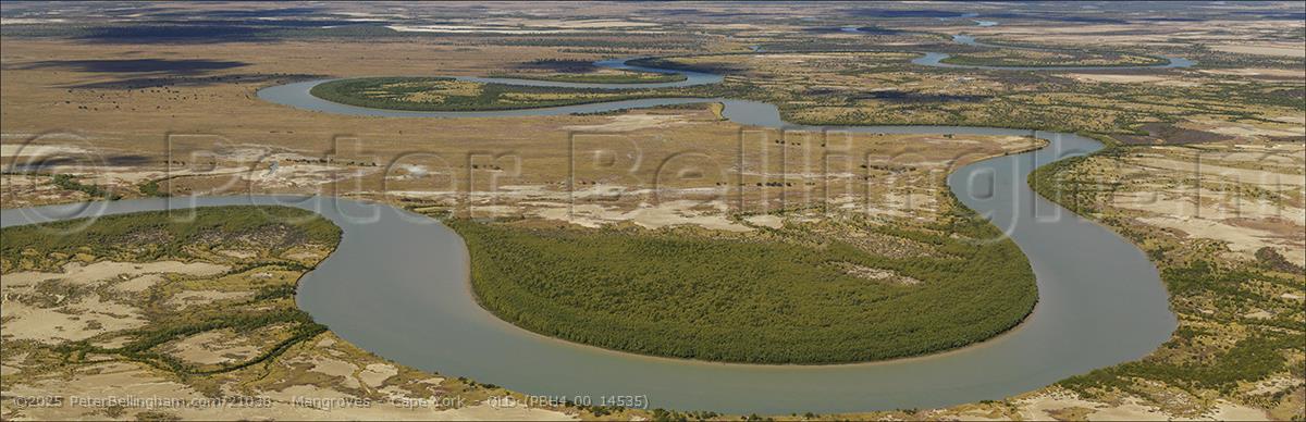 Peter Bellingham Photography Mangroves - Cape York - QLD (PBH4 00 14535)